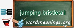 WordMeaning blackboard for jumping bristletail